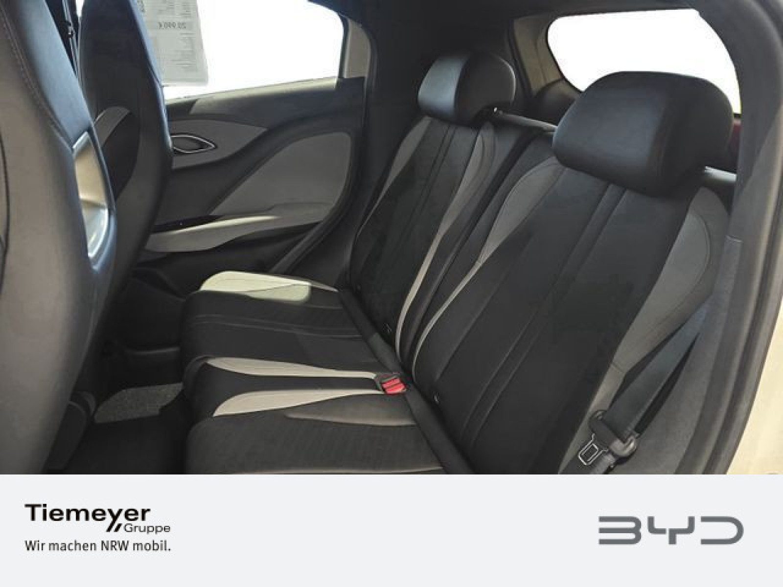 BYD DOLPHIN SURF – Bild 10