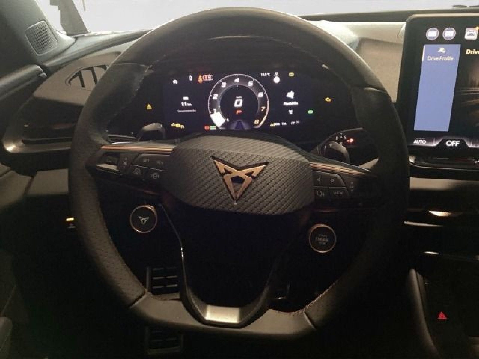 Cupra Terramar – Foto 9