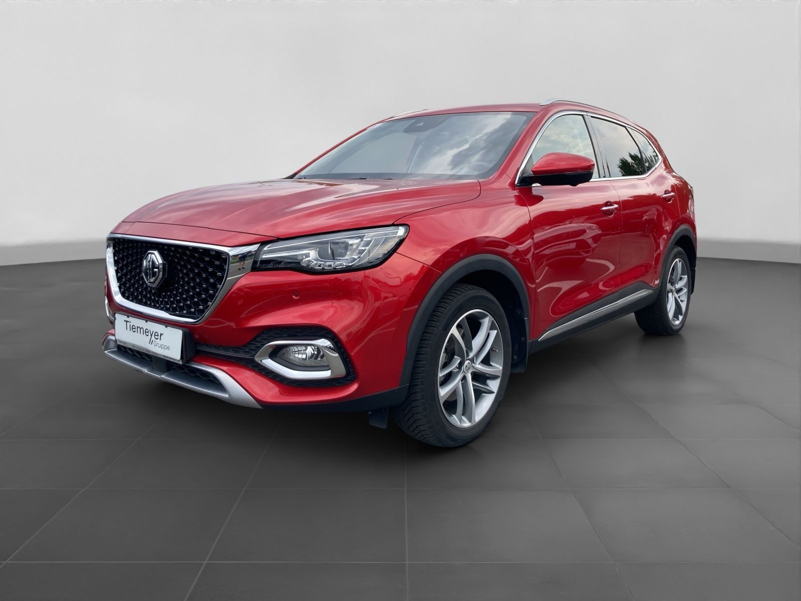 MG EHS – Bild 2