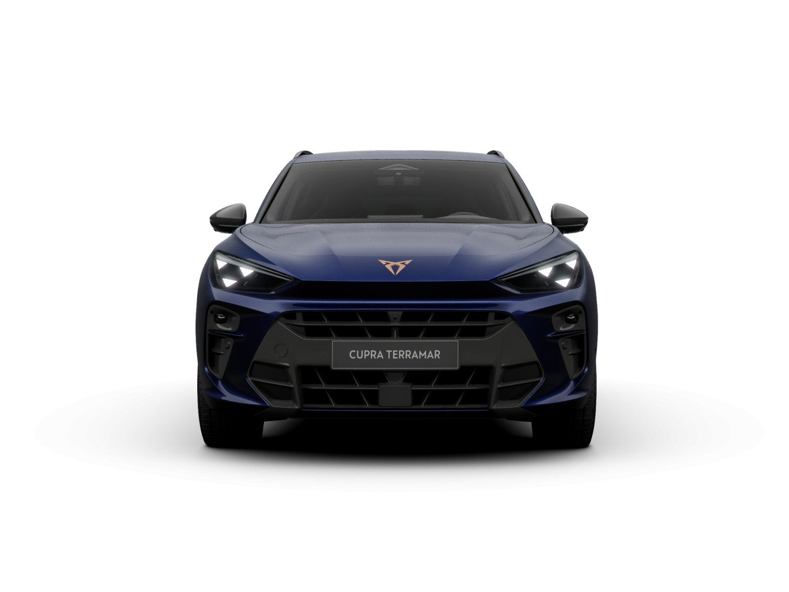 Cupra Terramar – Foto 3