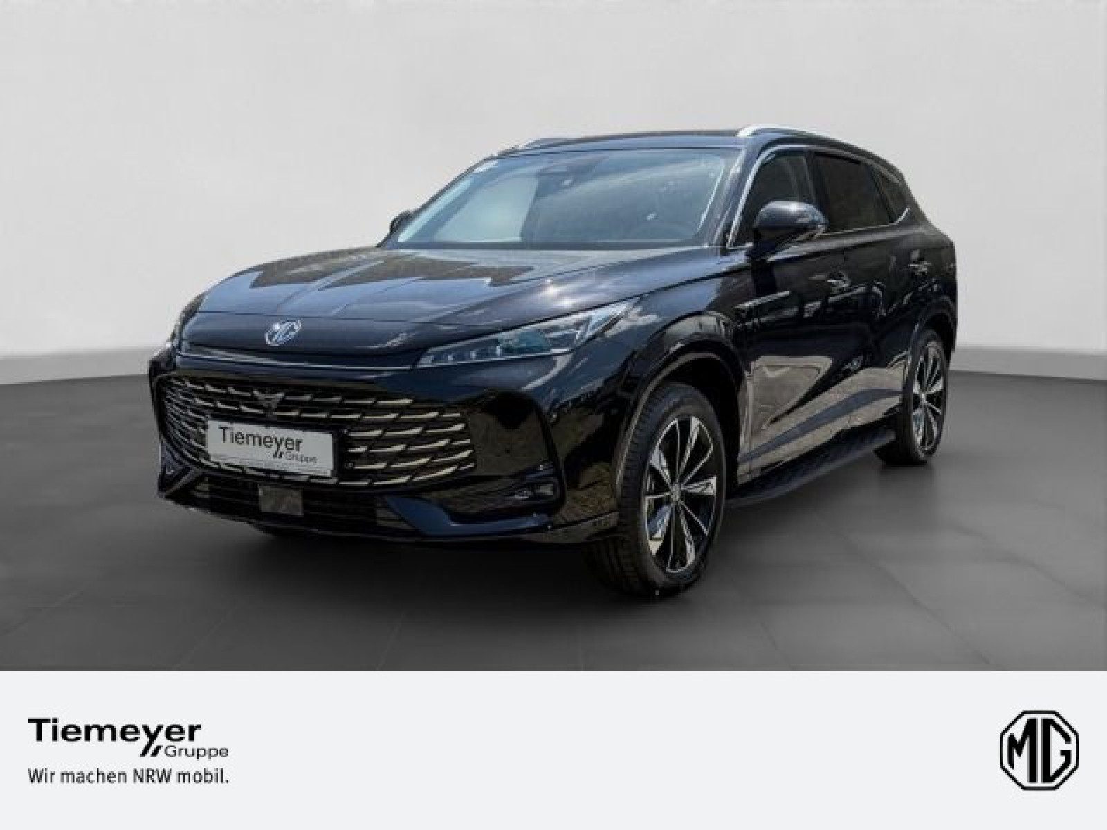 MG HS – Bild 1