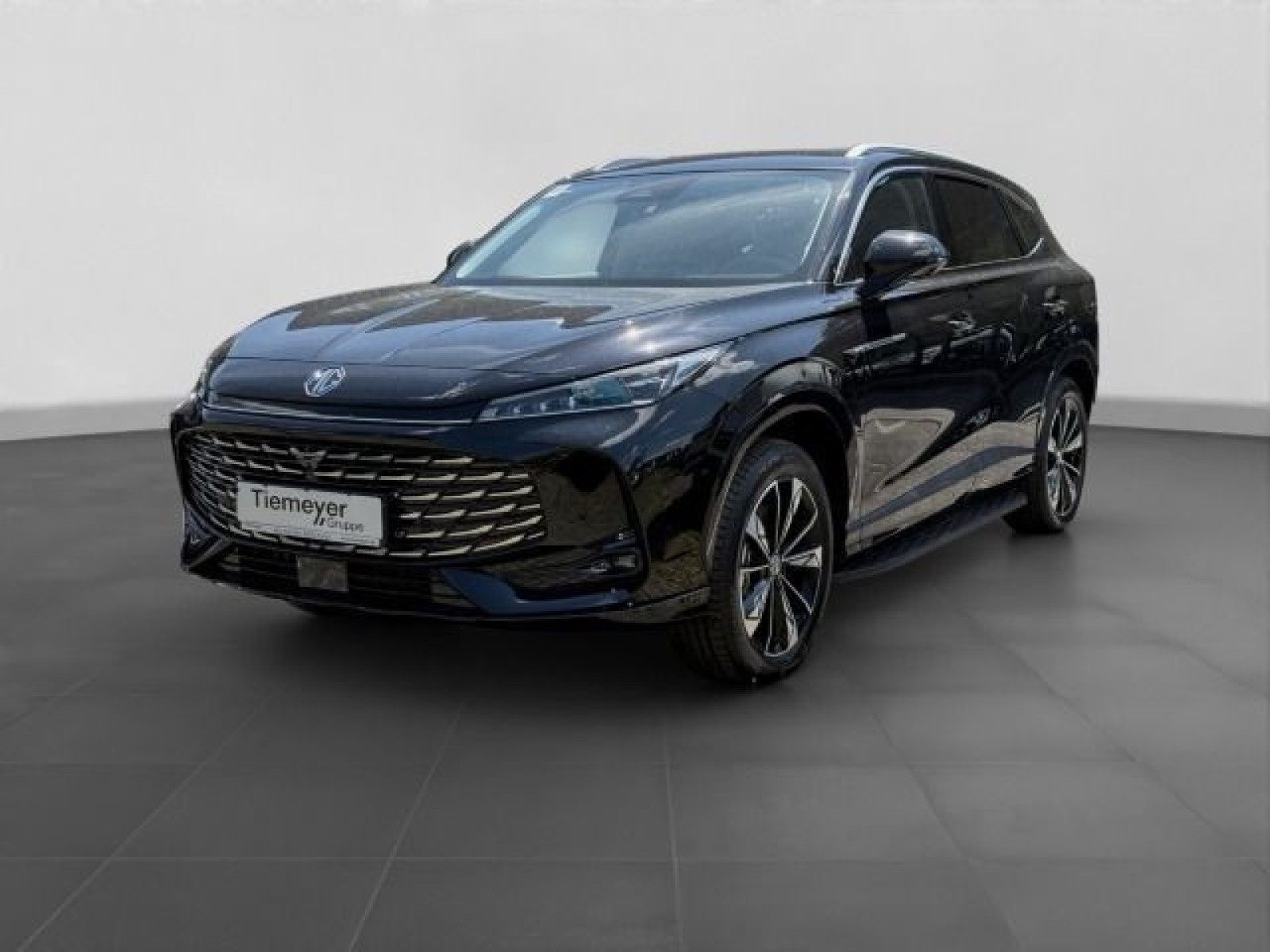 MG HS – Bild 2