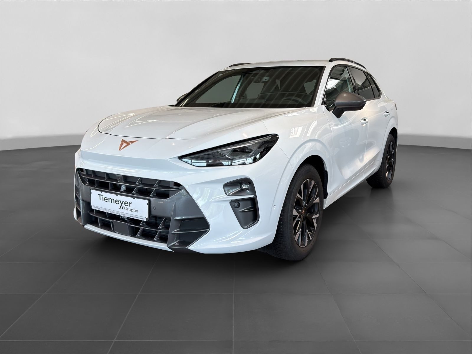 Cupra Terramar – Bild 2