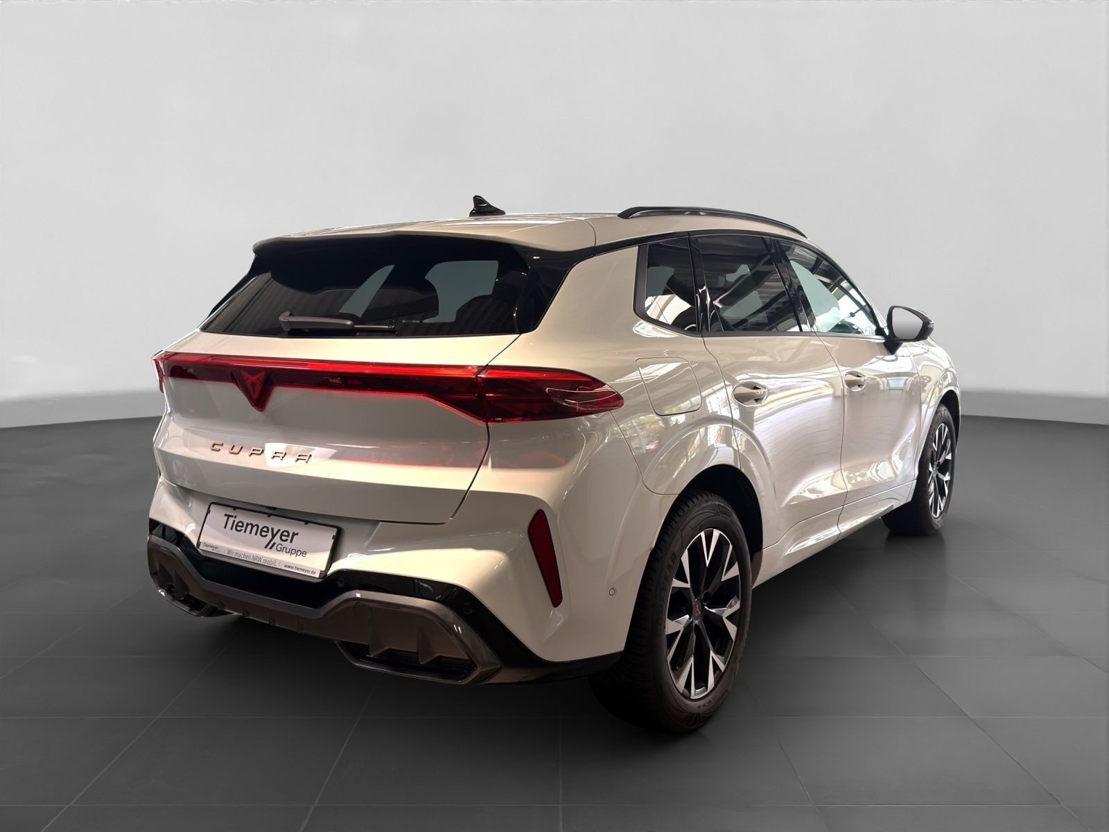 Cupra Terramar – Bild 3