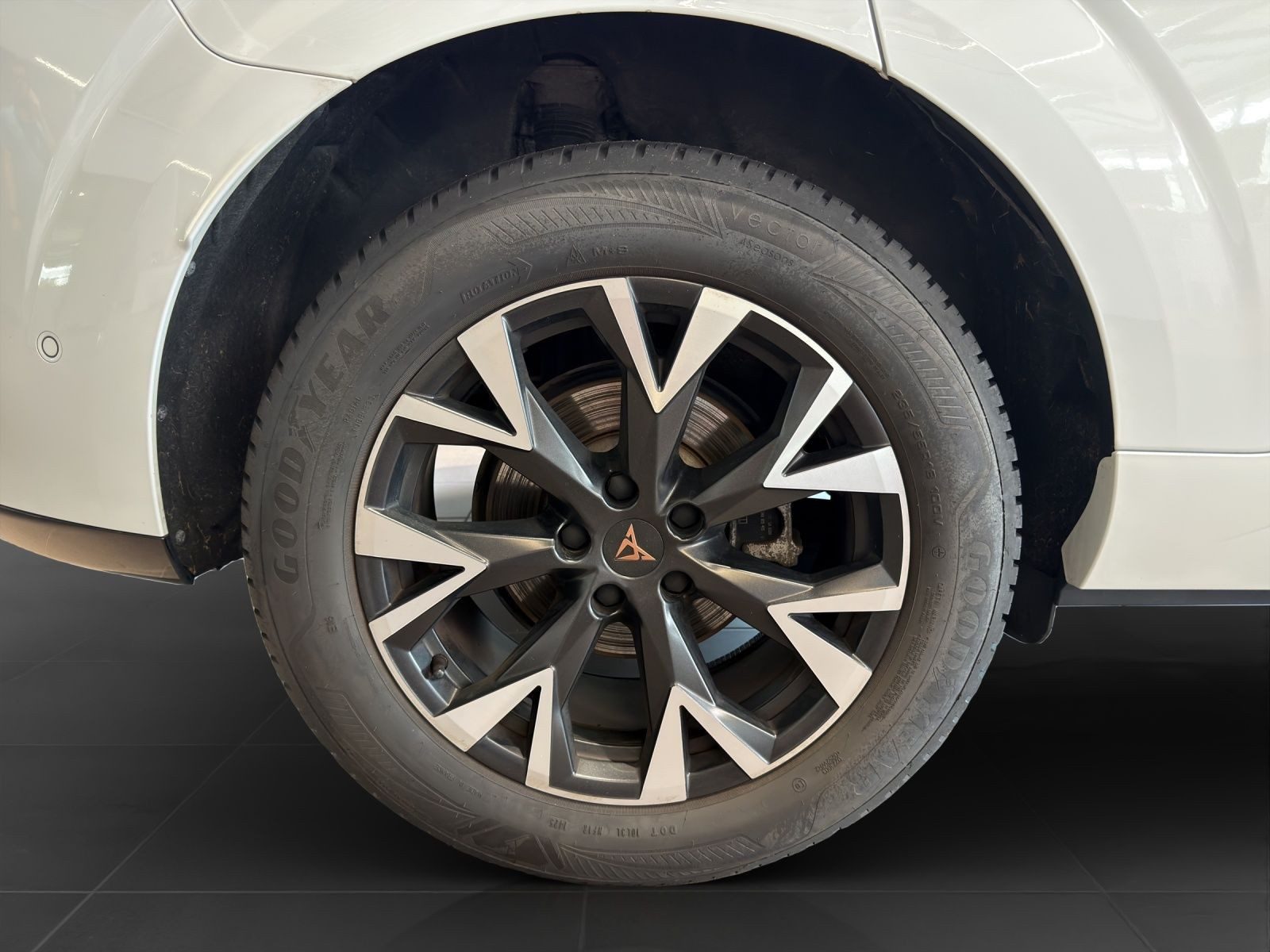 Cupra Terramar – Bild 7