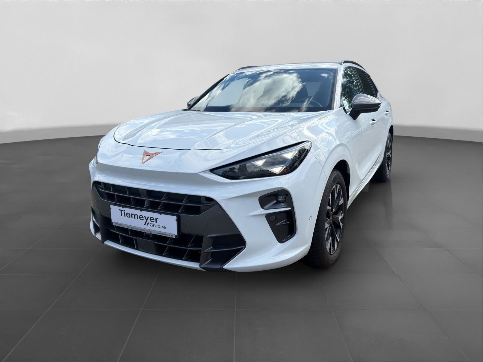 Cupra Terramar – Foto 2