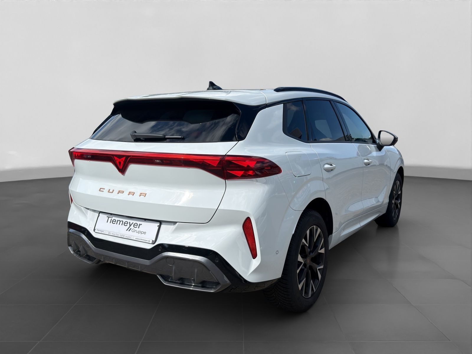 Cupra Terramar – Foto 3