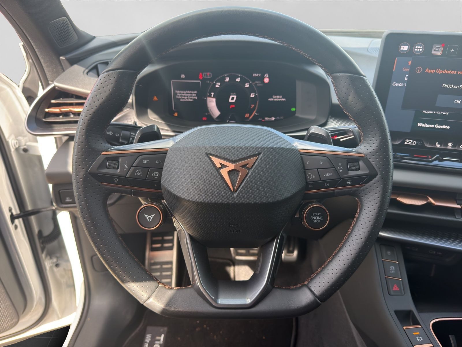 Cupra Terramar – Foto 9