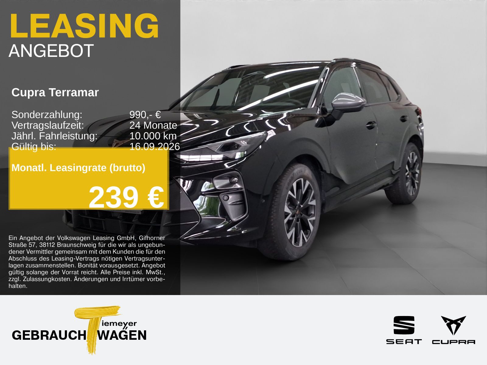 Cupra Terramar – Bild 1