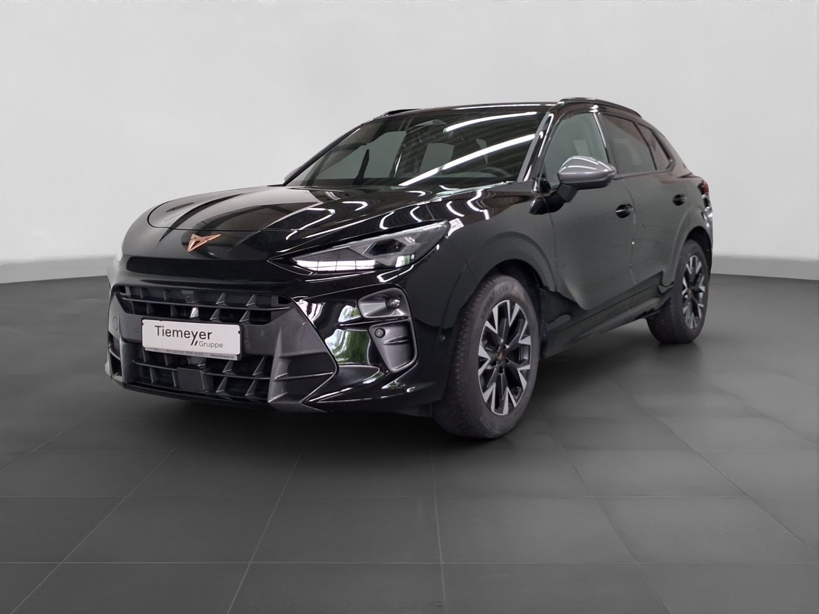 Cupra Terramar – Bild 2