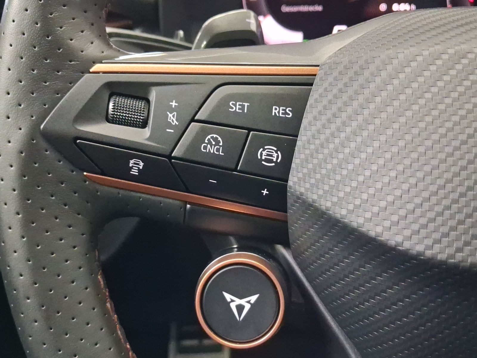 Cupra Terramar – Bild 18