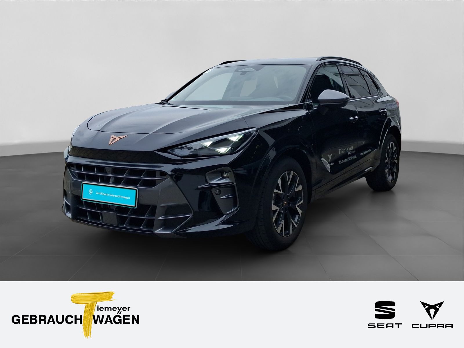 Cupra Terramar – Bild 1