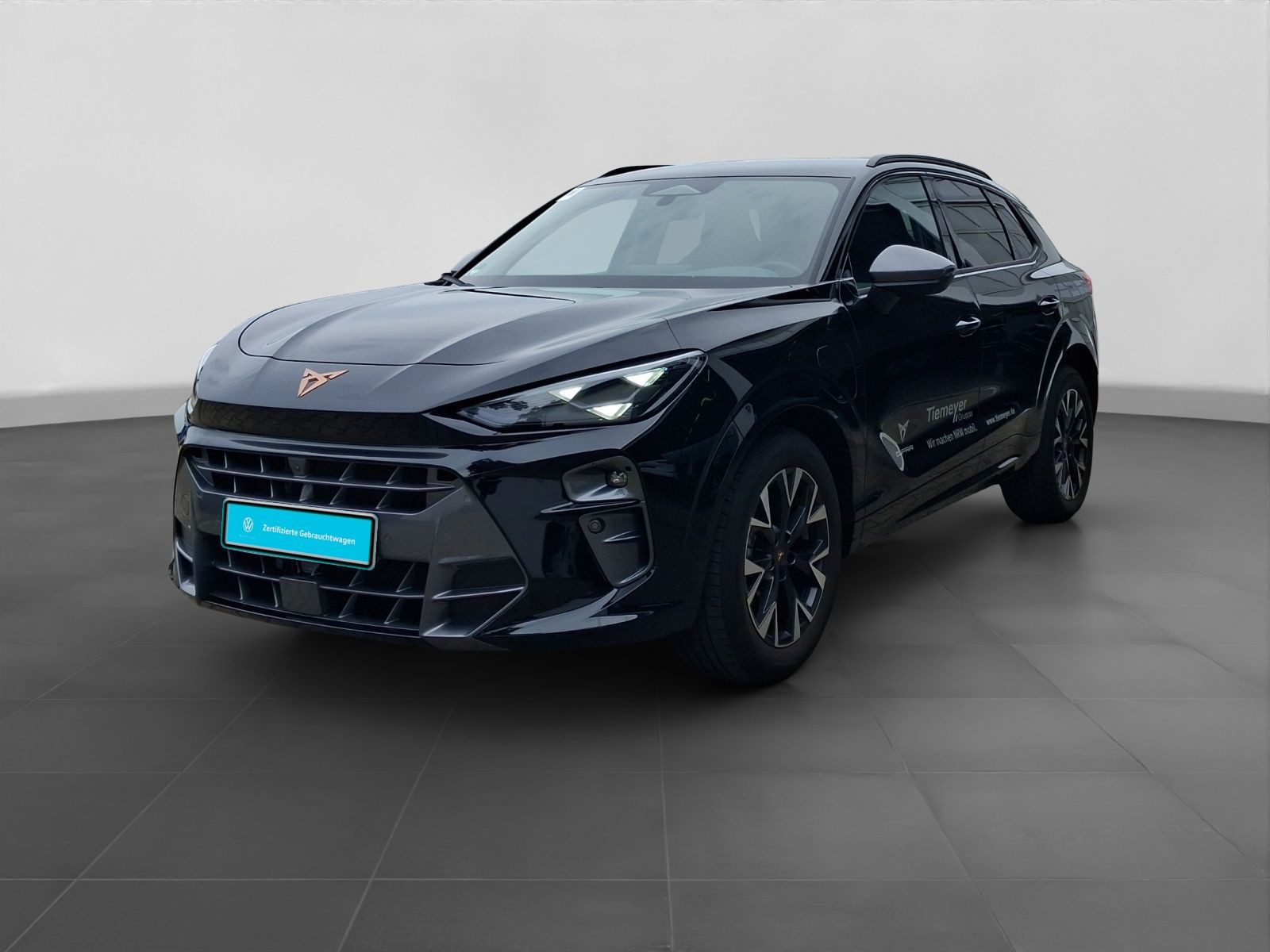 Cupra Terramar – Bild 2