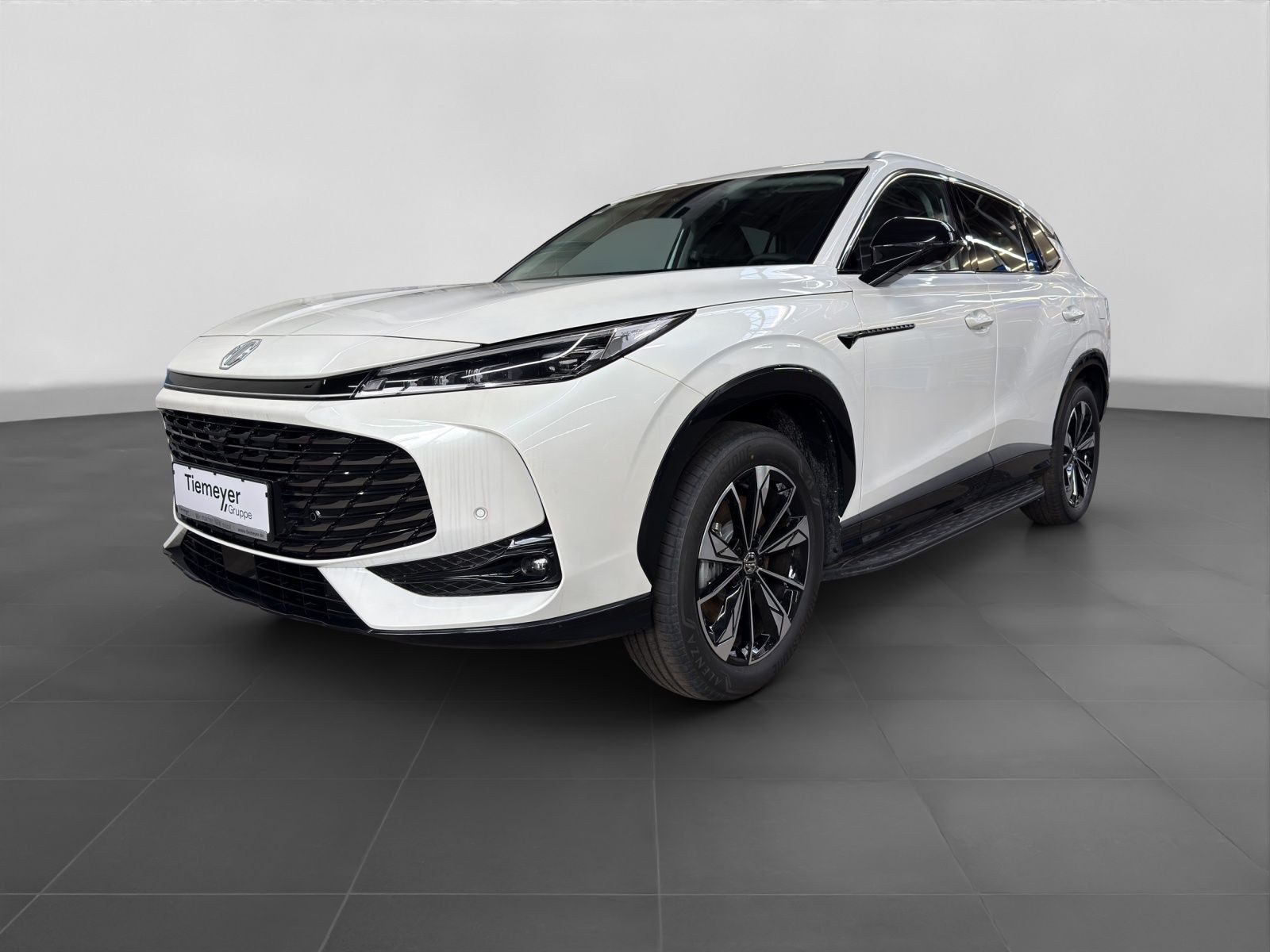 MG HS – Bild 2