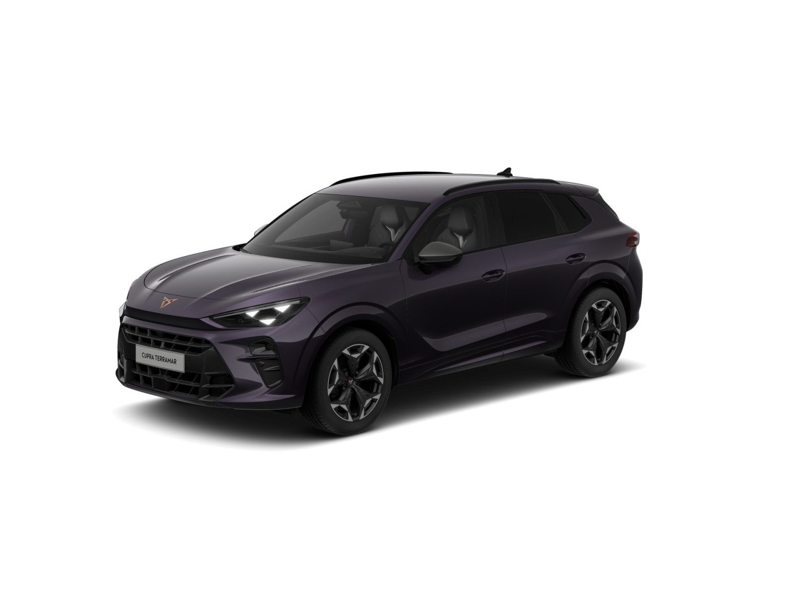 Cupra Terramar – Foto 2