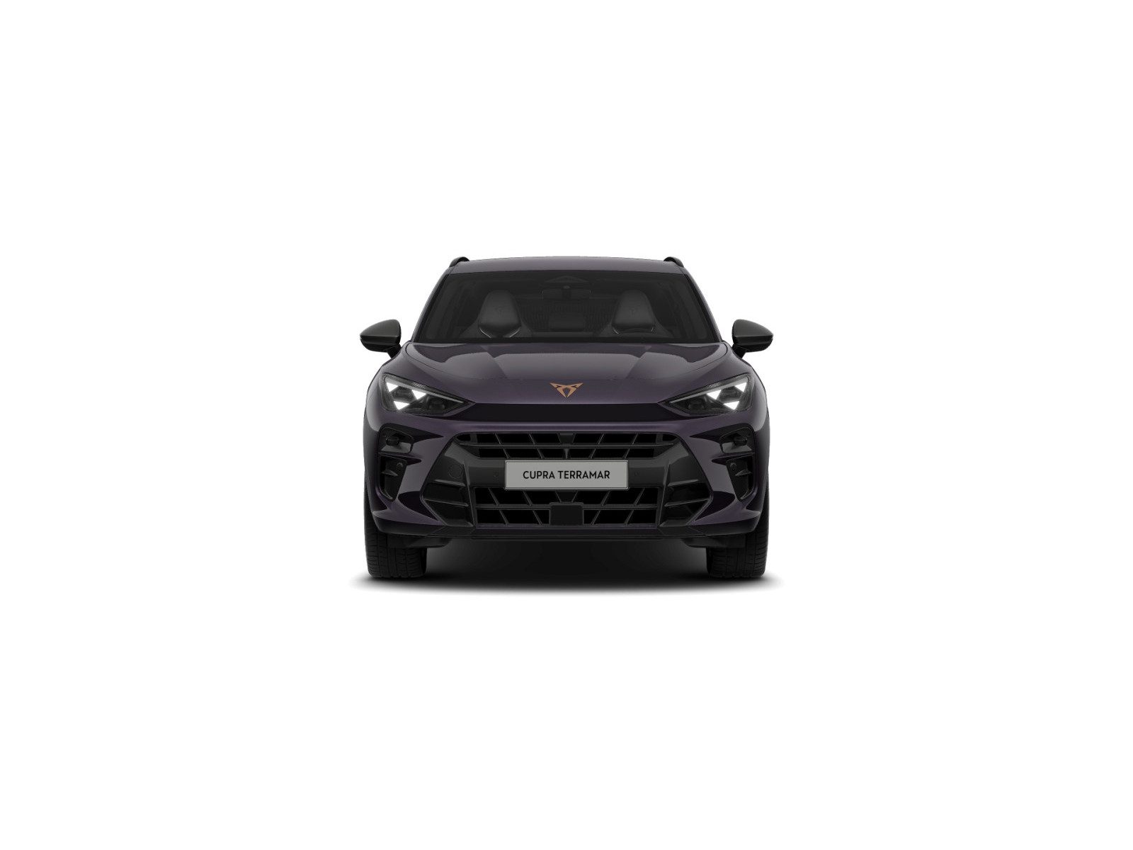 Cupra Terramar – Foto 3