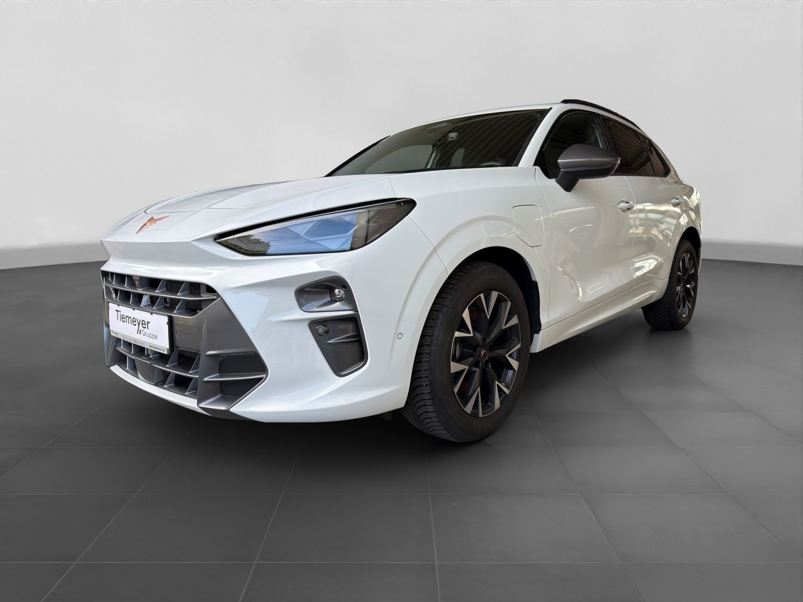 Cupra Terramar – Bild 2