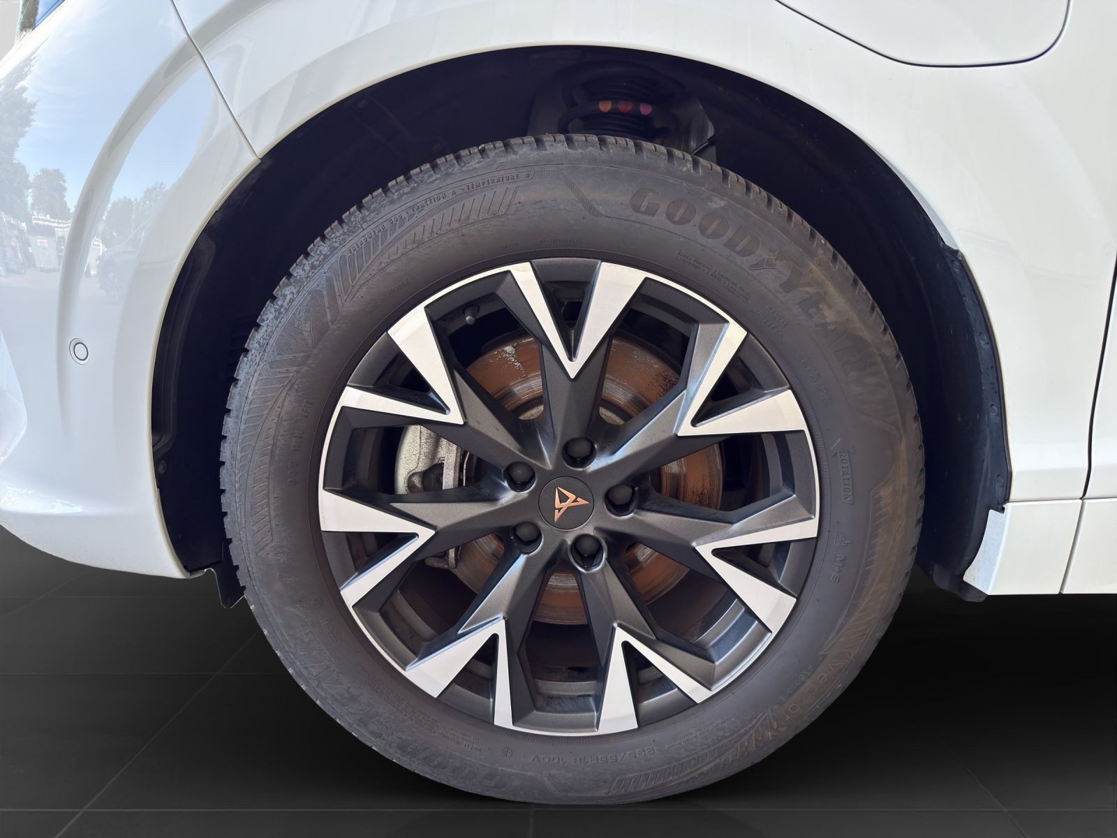 Cupra Terramar – Bild 7