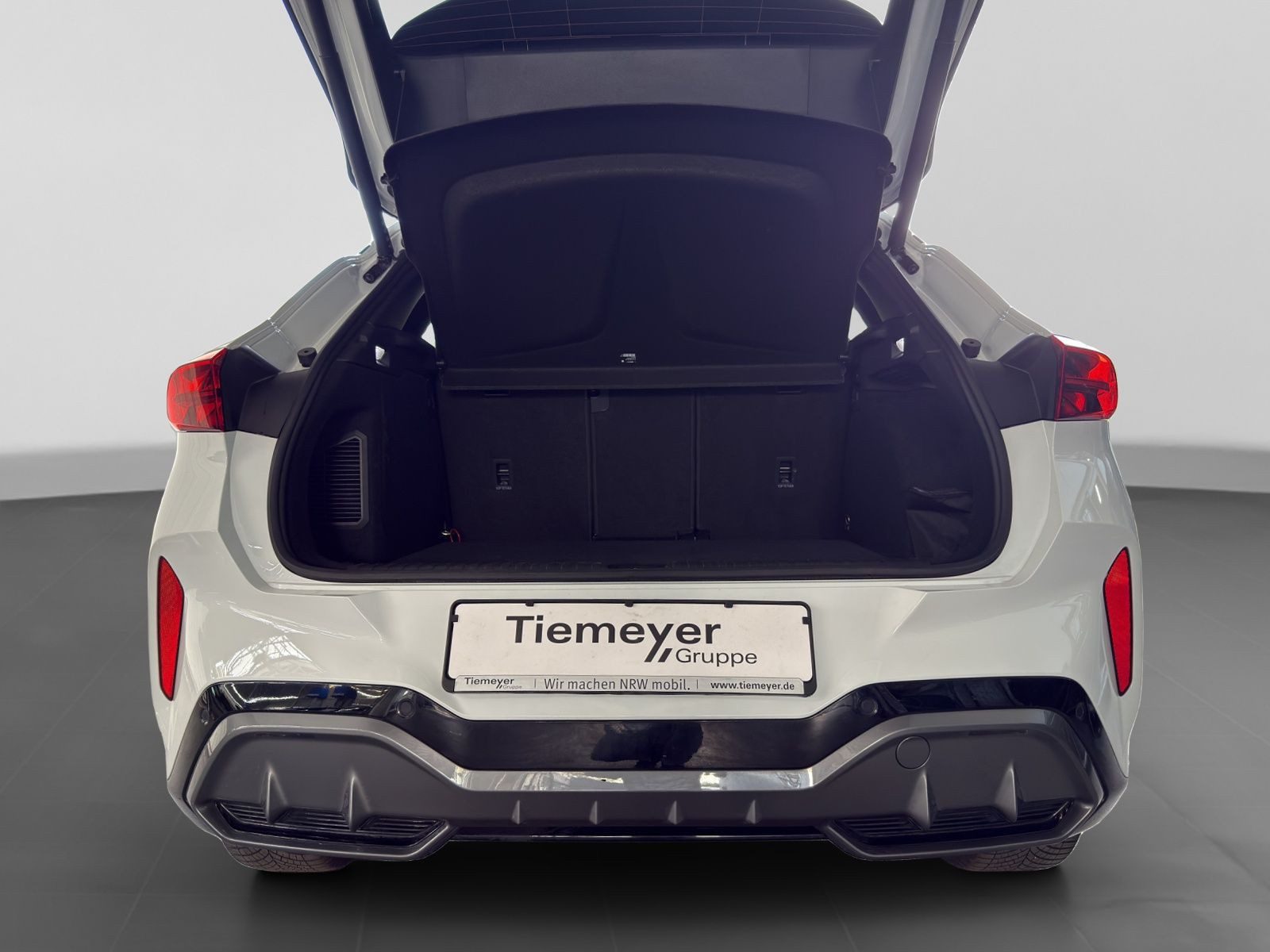 Cupra Terramar – Bild 17