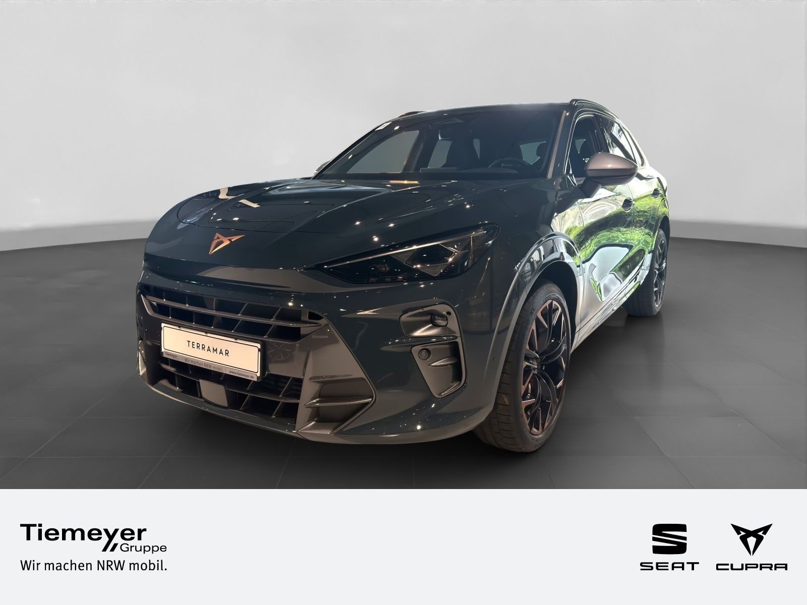 Cupra Terramar – Foto 1