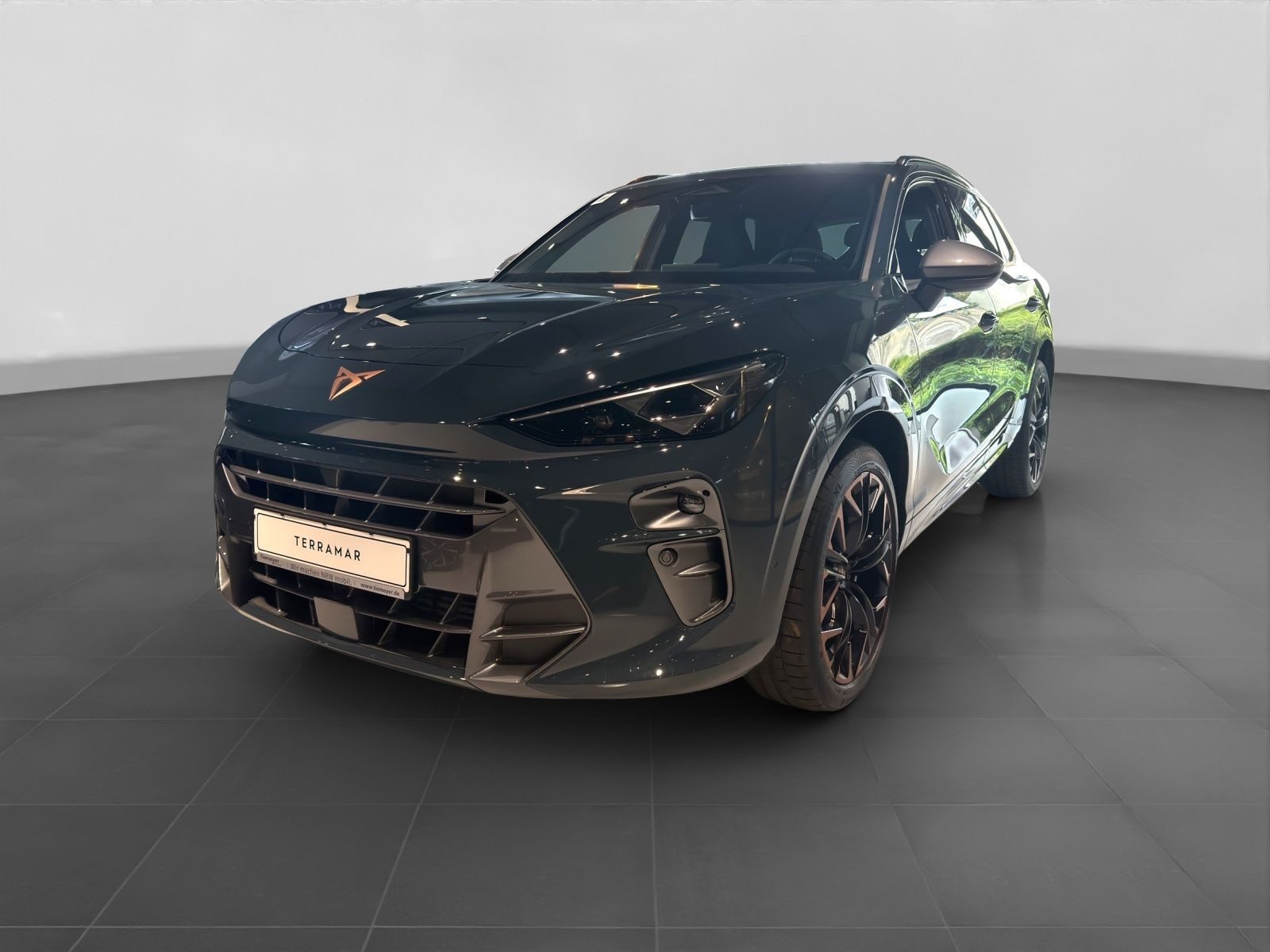 Cupra Terramar – Foto 2