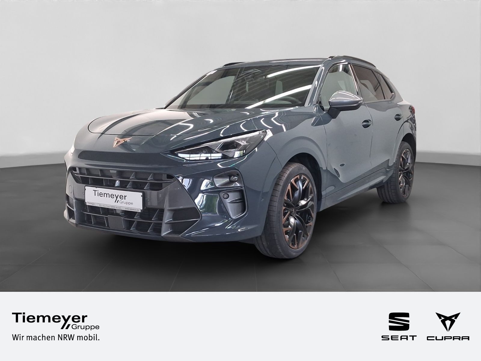 Cupra Terramar – Bild 1