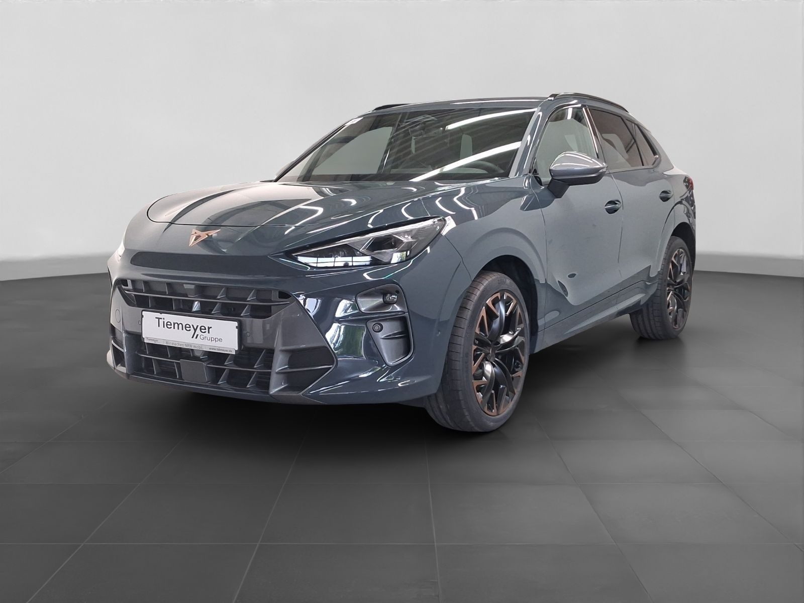 Cupra Terramar – Bild 2