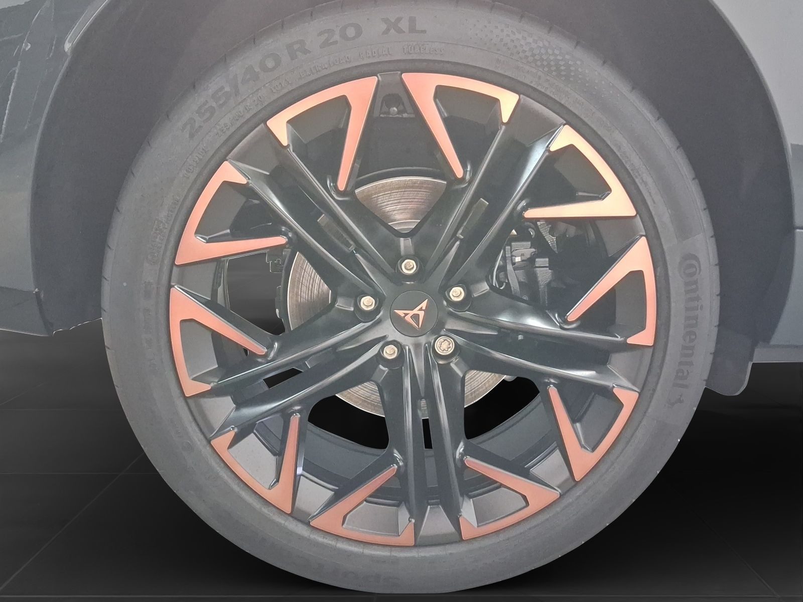 Cupra Terramar – Bild 7