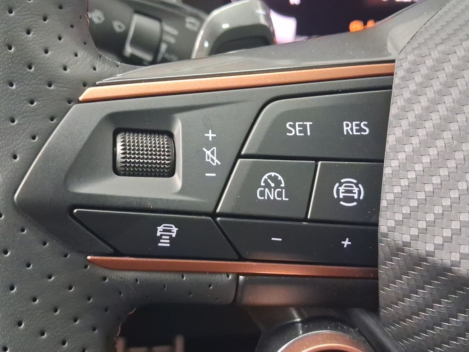 Cupra Terramar – Bild 18
