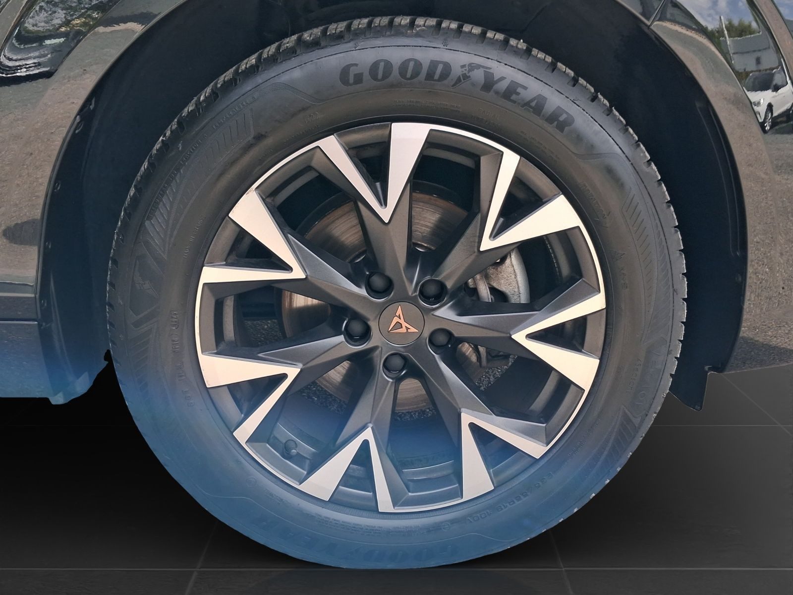 Cupra Terramar – Foto 7