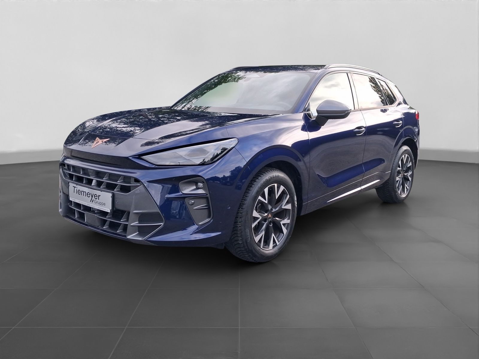 Cupra Terramar – Foto 2