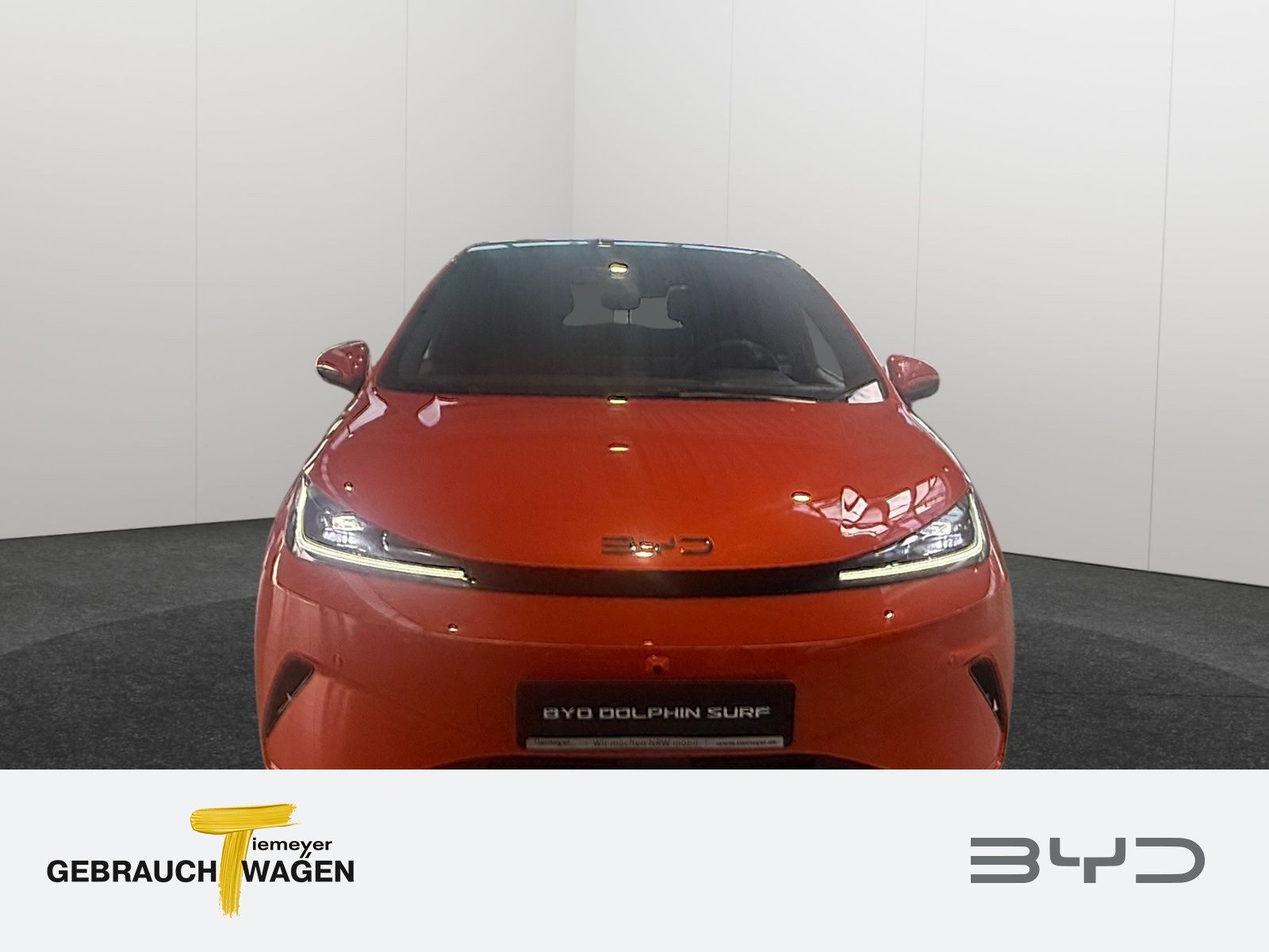 BYD DOLPHIN – Bild 2