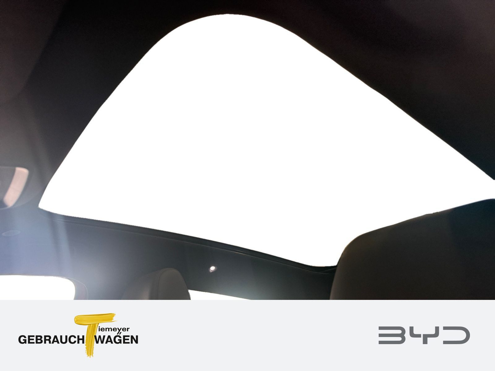 BYD DOLPHIN – Bild 15