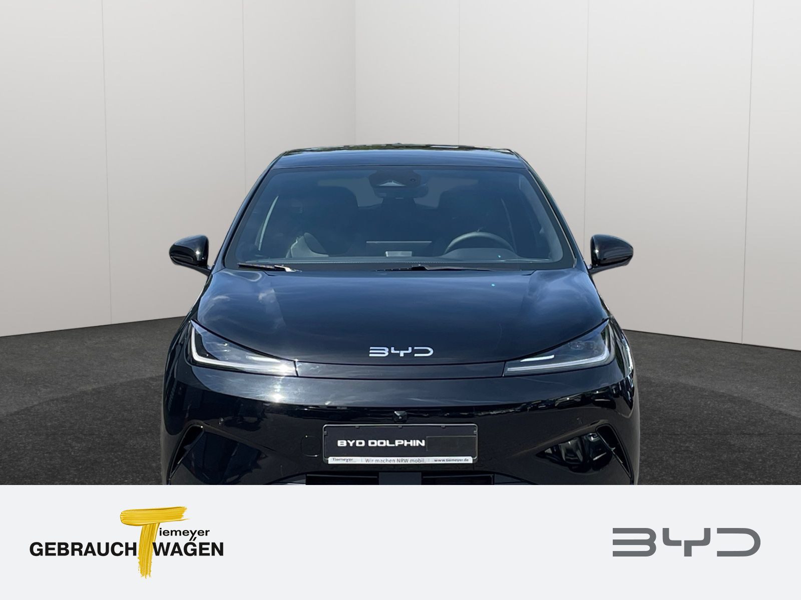 BYD DOLPHIN – Bild 2