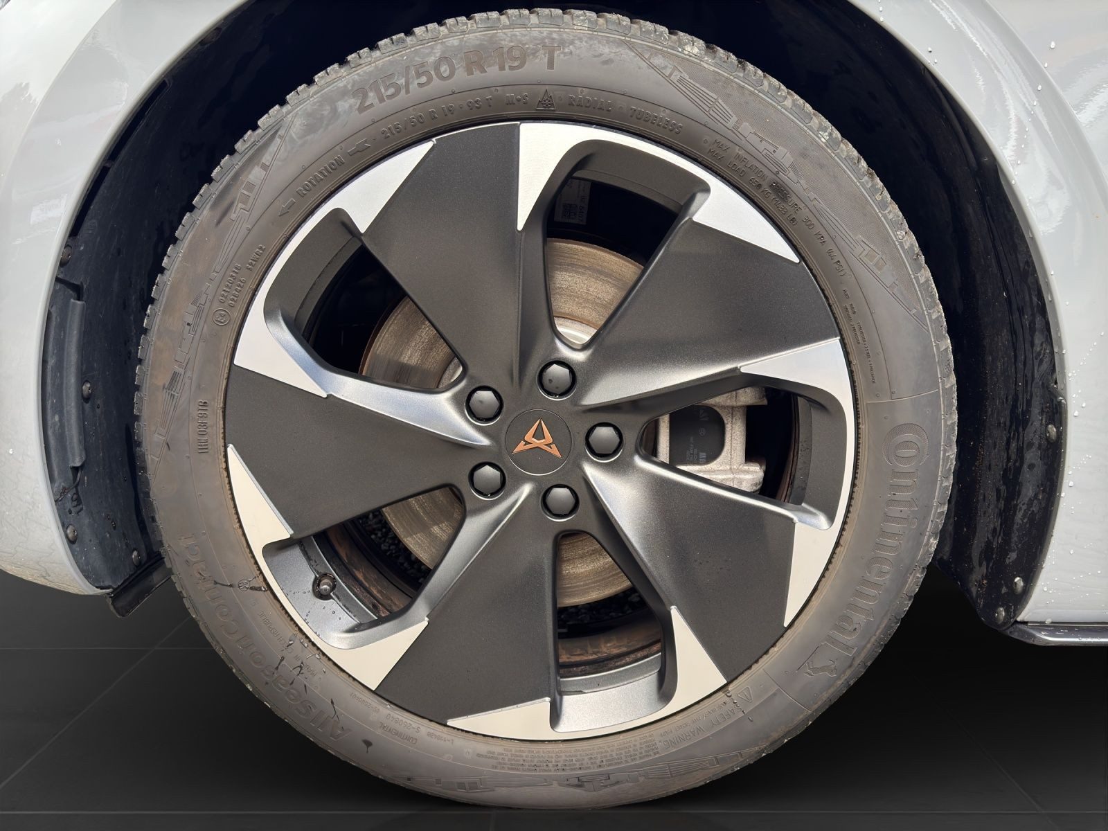 Cupra Born – Foto 7