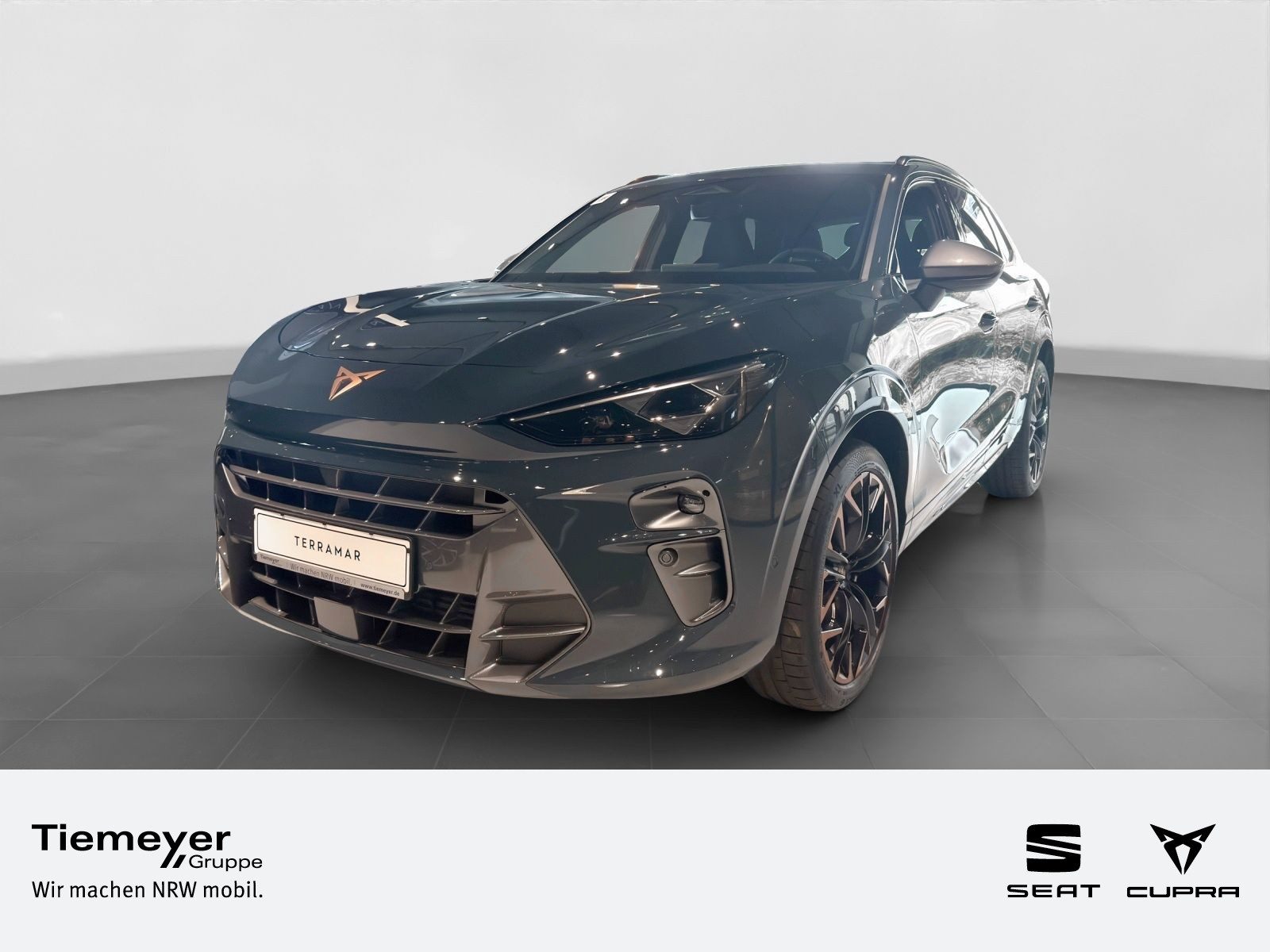 Cupra Terramar – Foto 1
