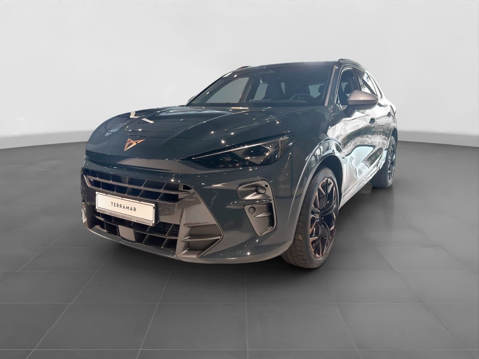 Cupra Terramar – Foto 2