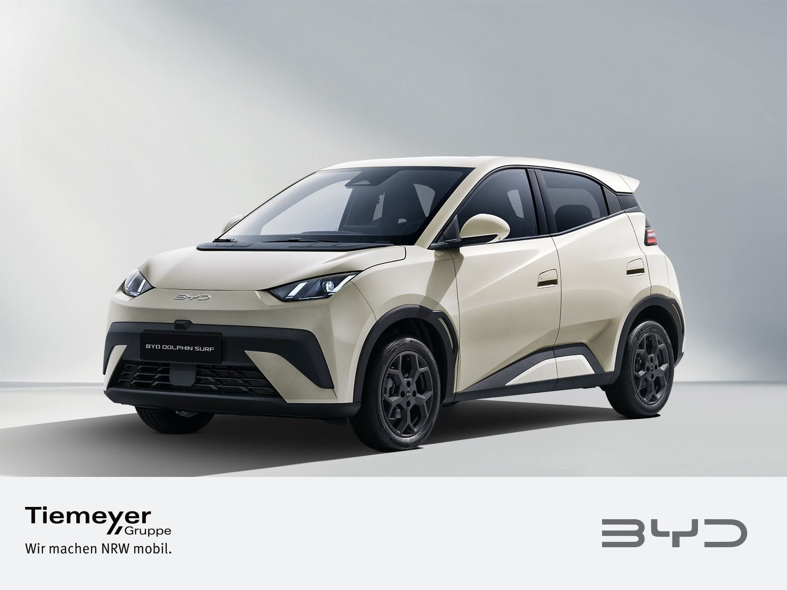 BYD DOLPHIN SURF – Foto 1