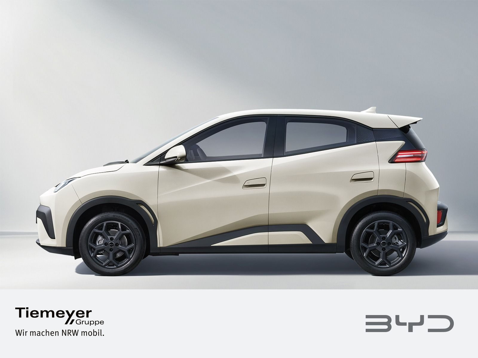 BYD DOLPHIN SURF – Bild 2