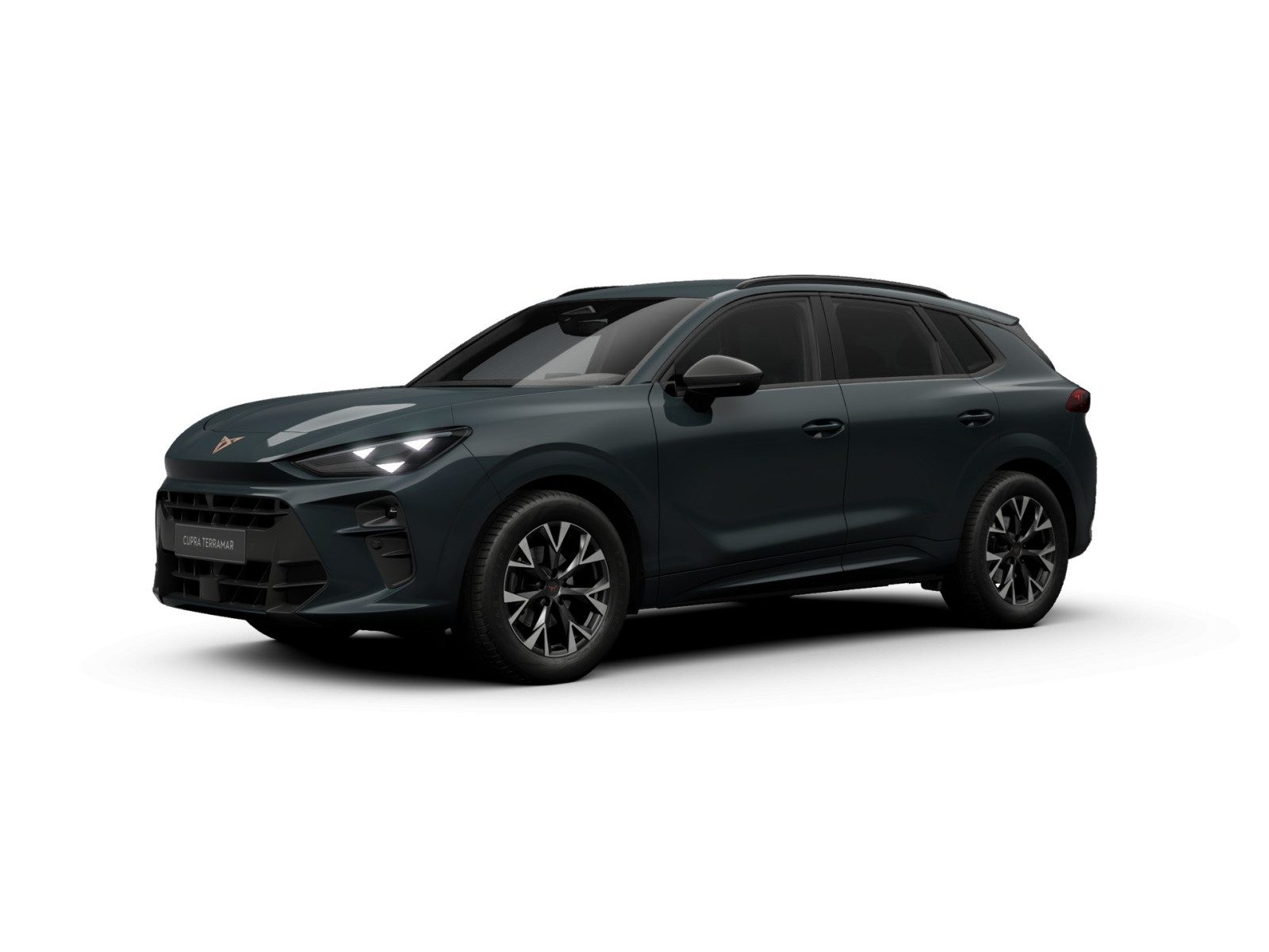 Cupra Terramar – Bild 2