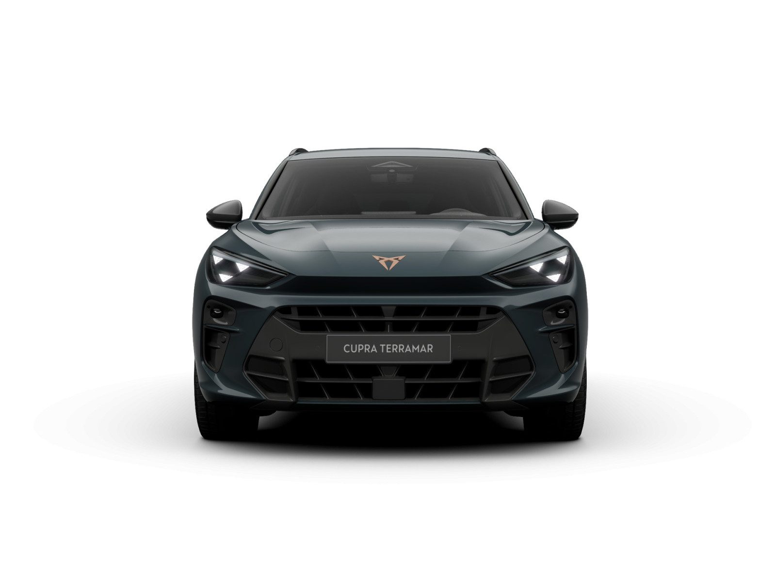 Cupra Terramar – Bild 3
