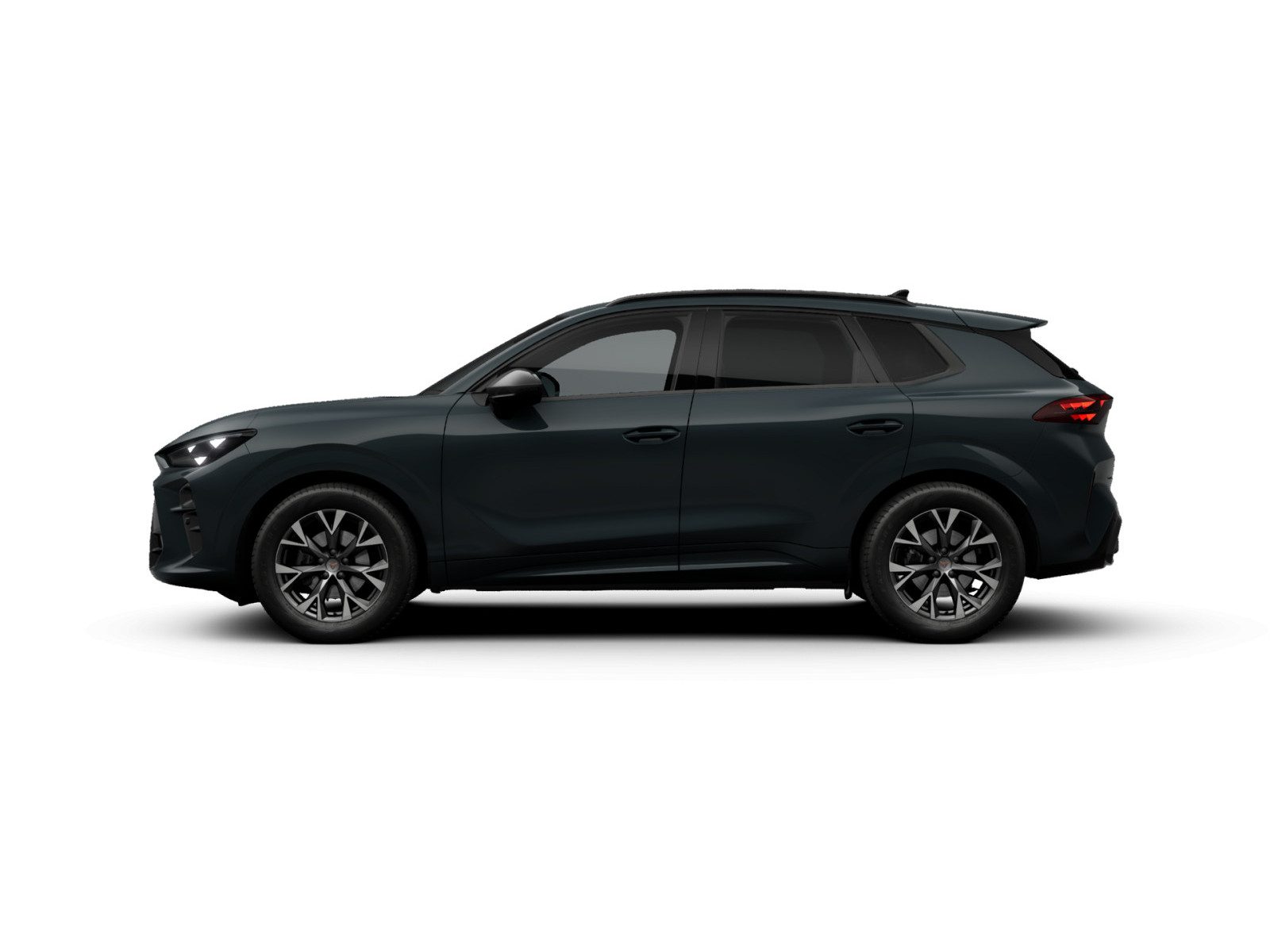 Cupra Terramar – Bild 6