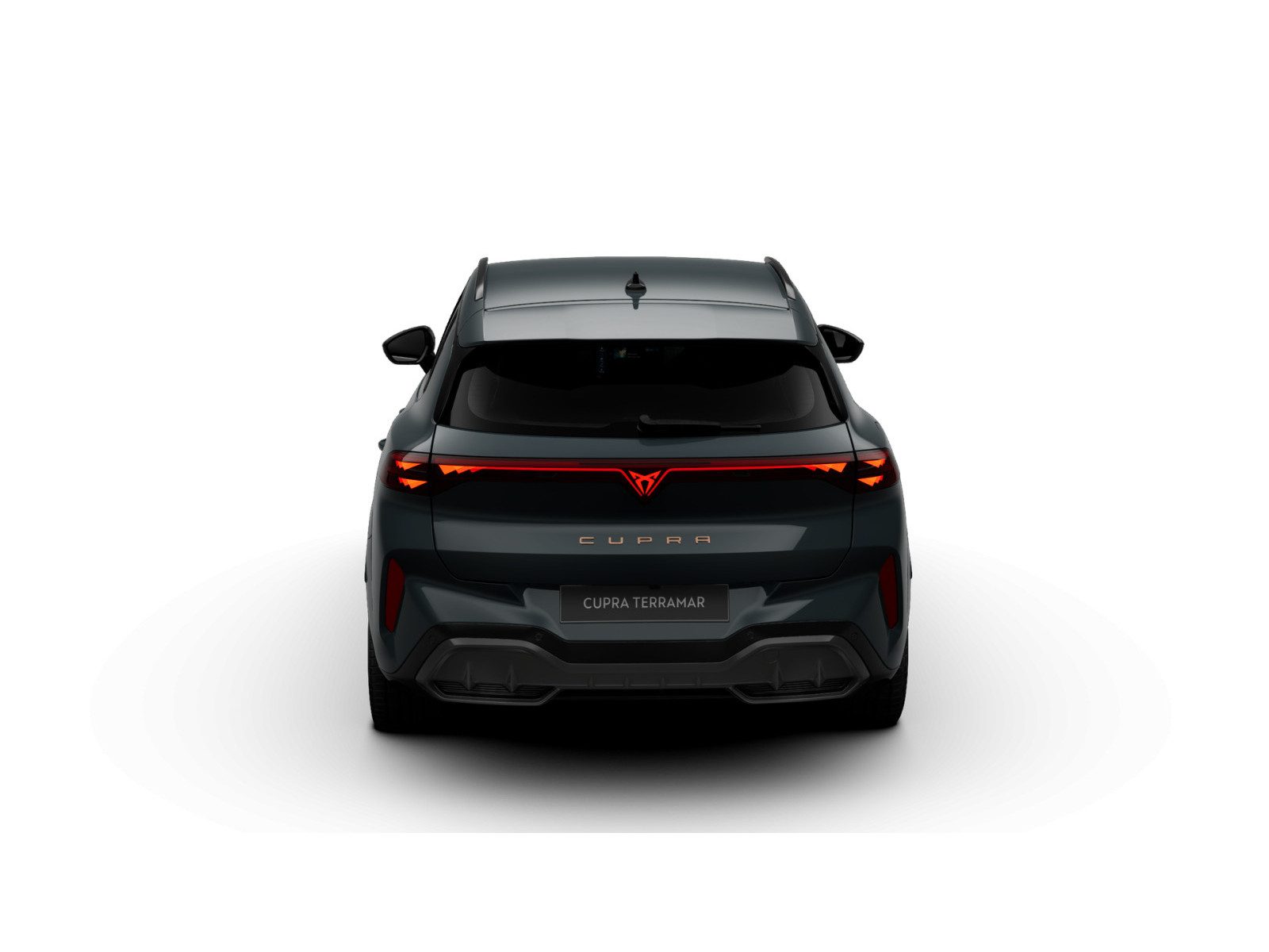 Cupra Terramar – Bild 7