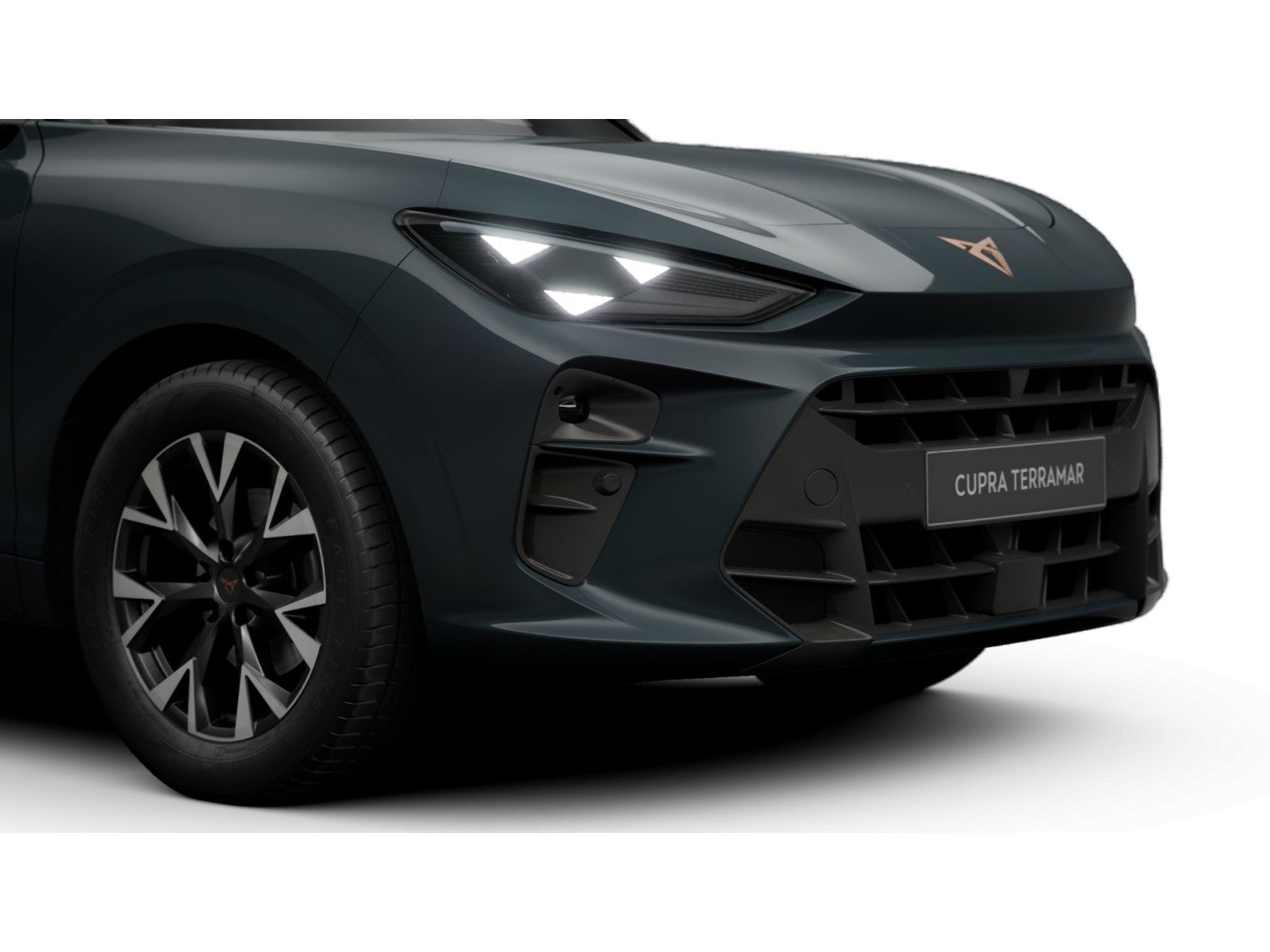 Cupra Terramar – Bild 8