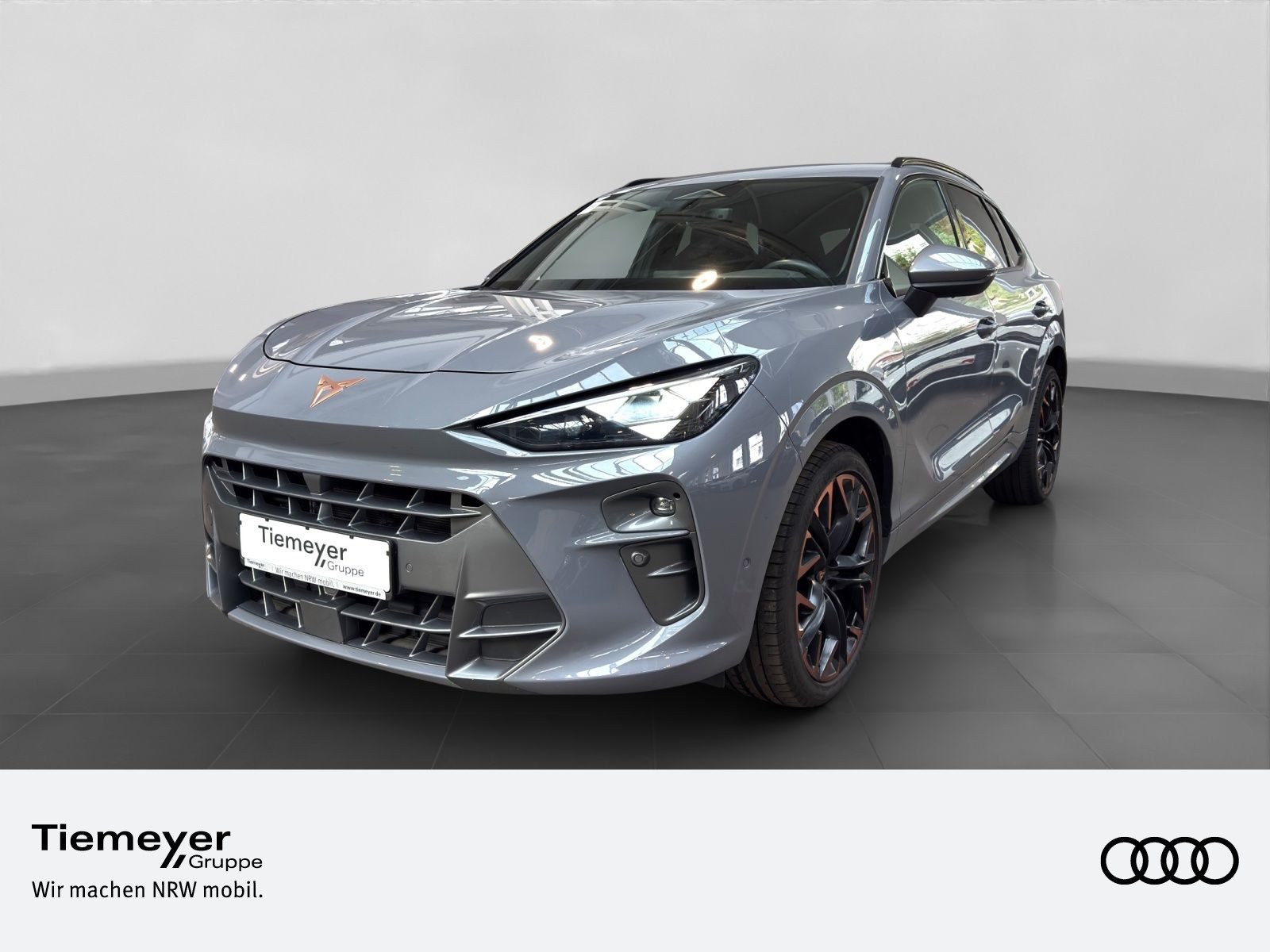 Cupra Terramar – Foto 1