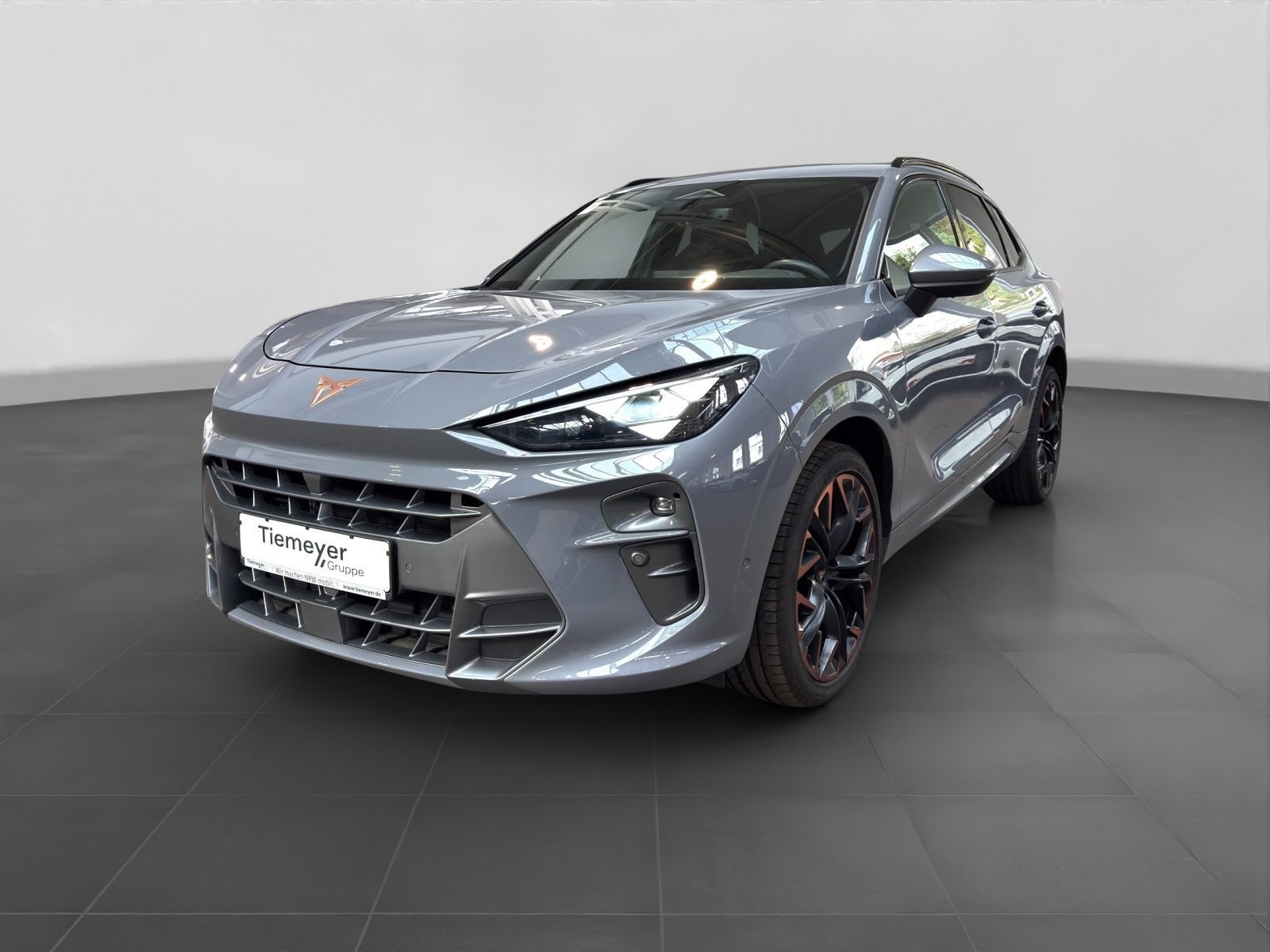 Cupra Terramar – Foto 2