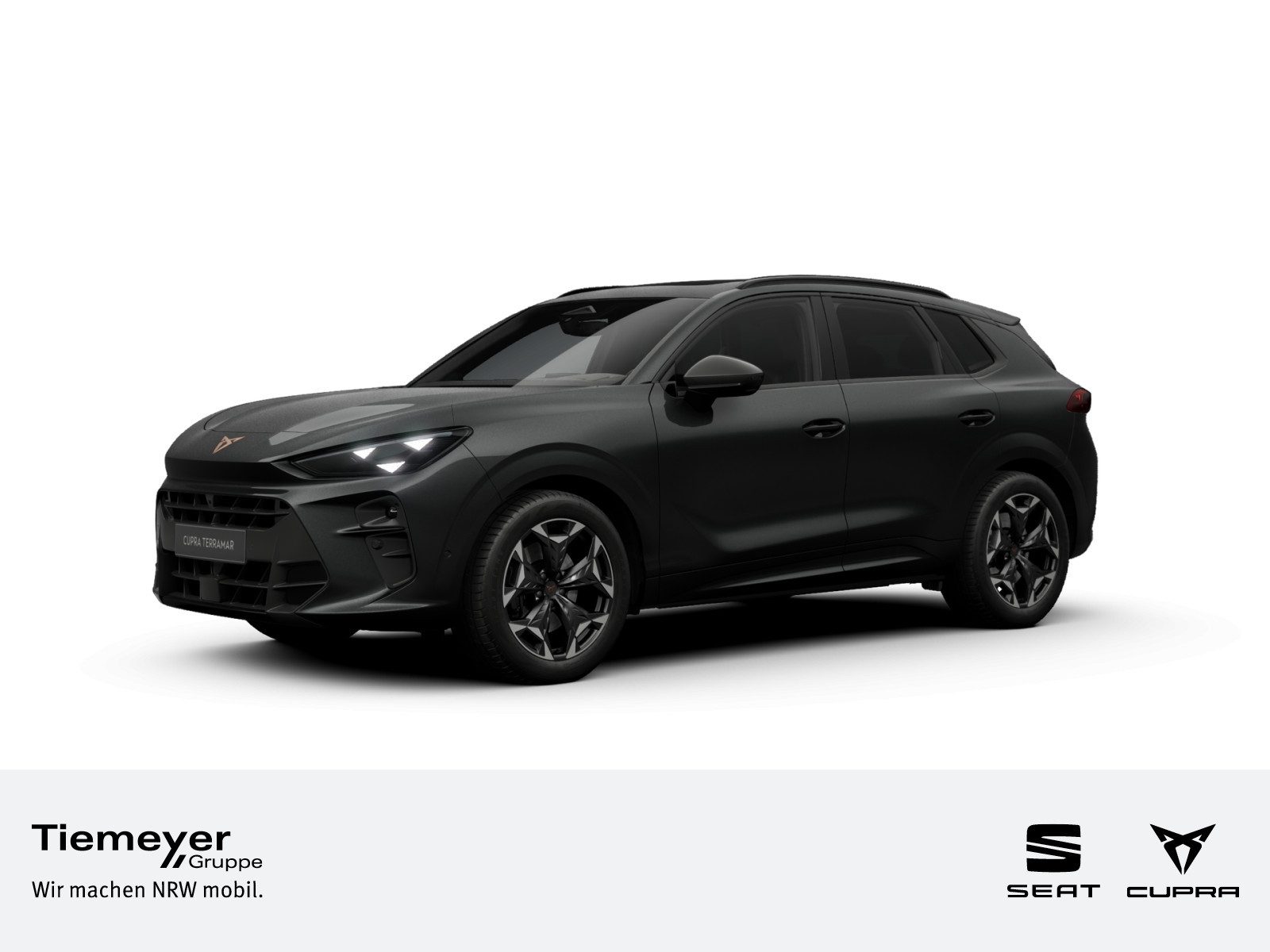 Cupra Terramar – Bild 1