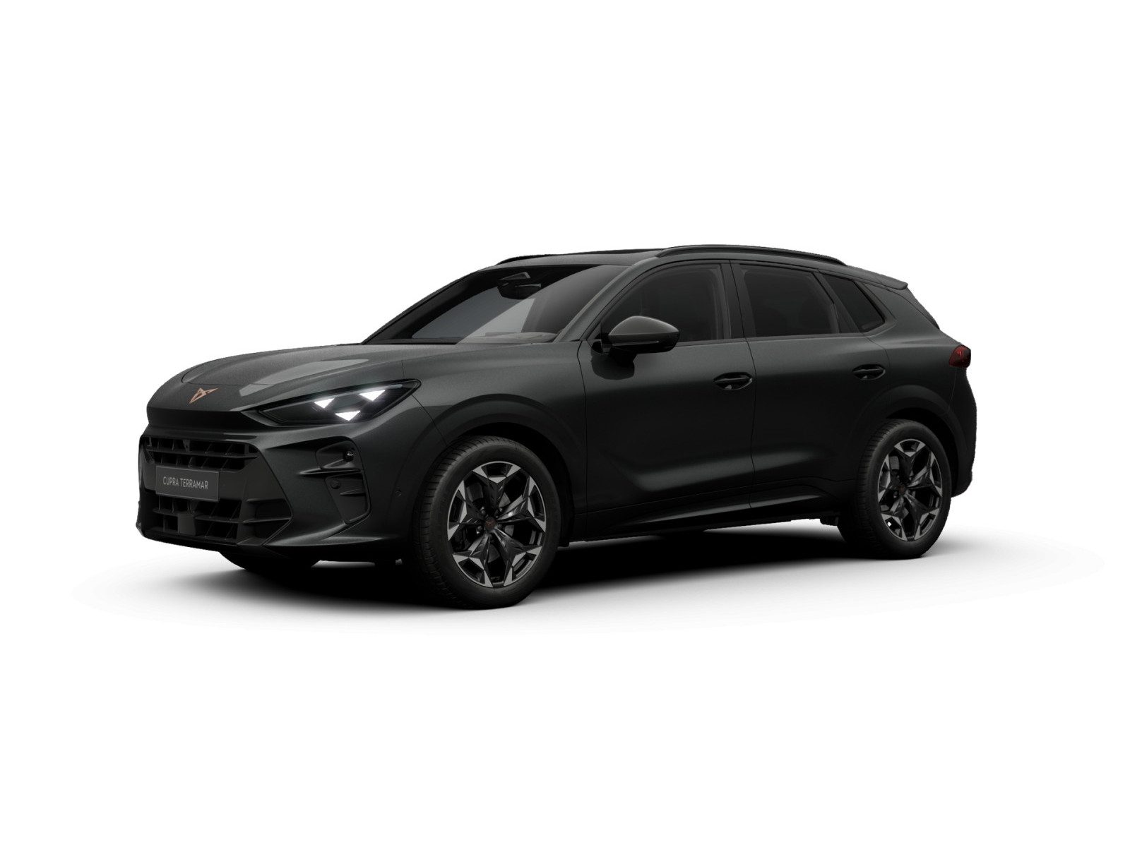 Cupra Terramar – Bild 2