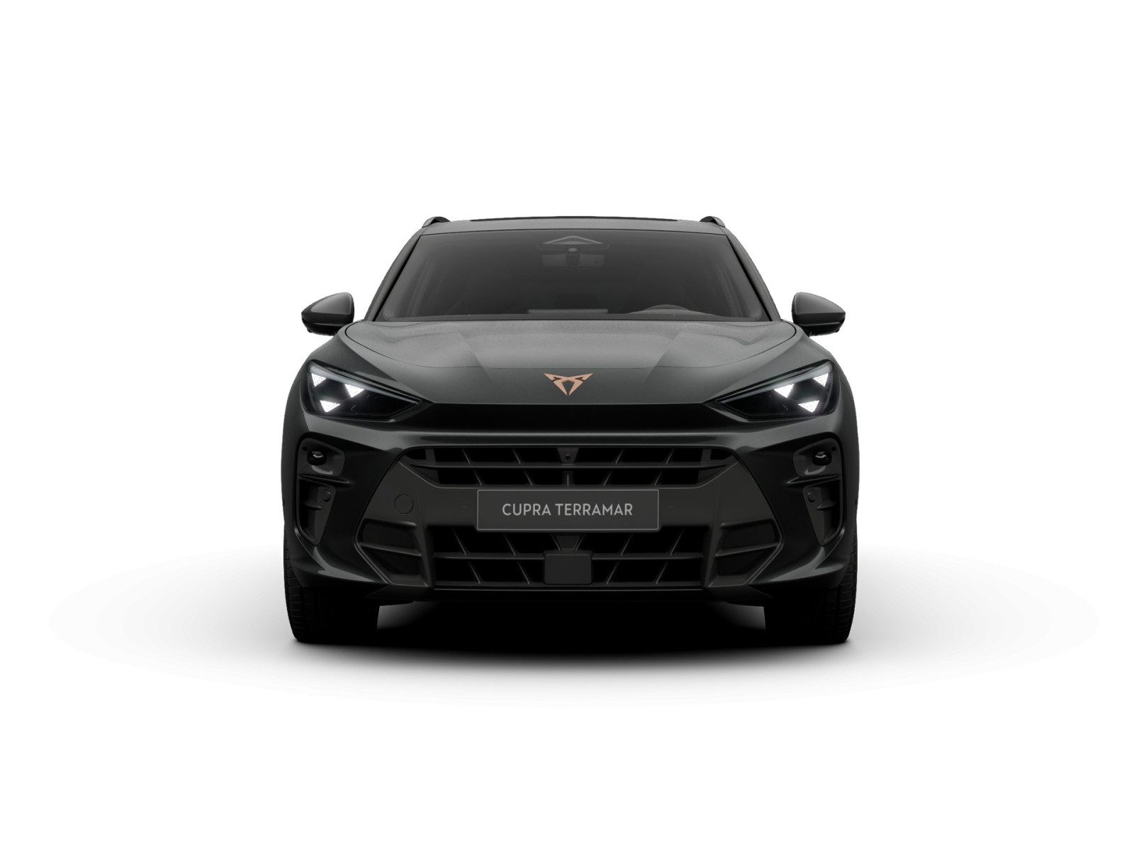 Cupra Terramar – Bild 3