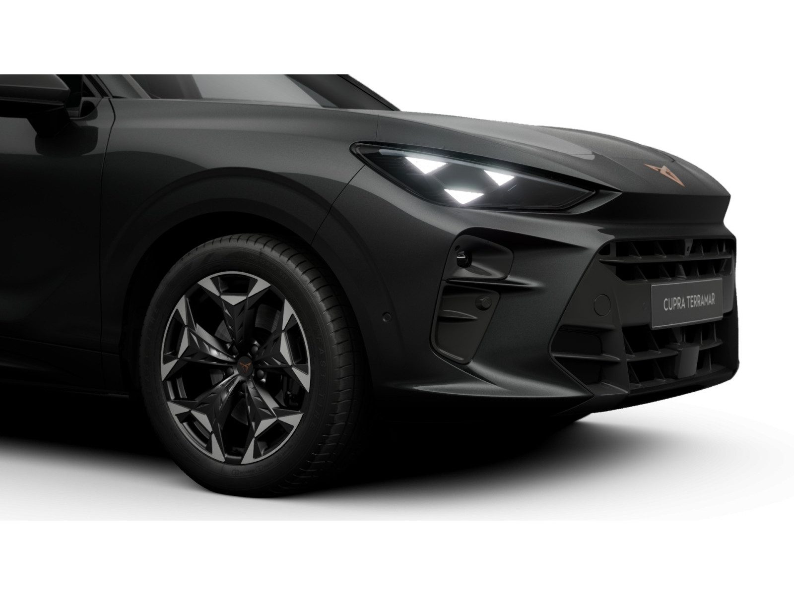 Cupra Terramar – Bild 4